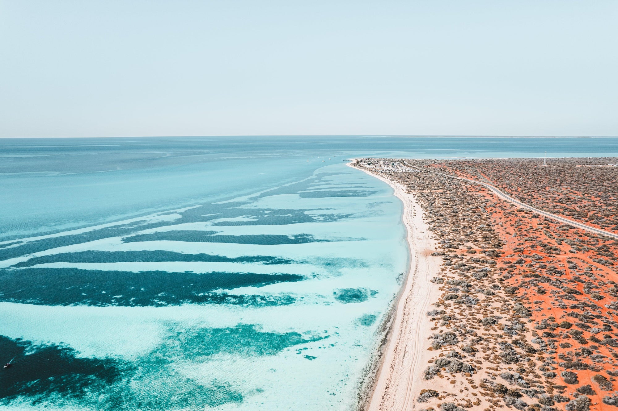 Shark Bay Wall Art Prints