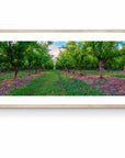 Apple - Tasmania Wall Art - Digital Download