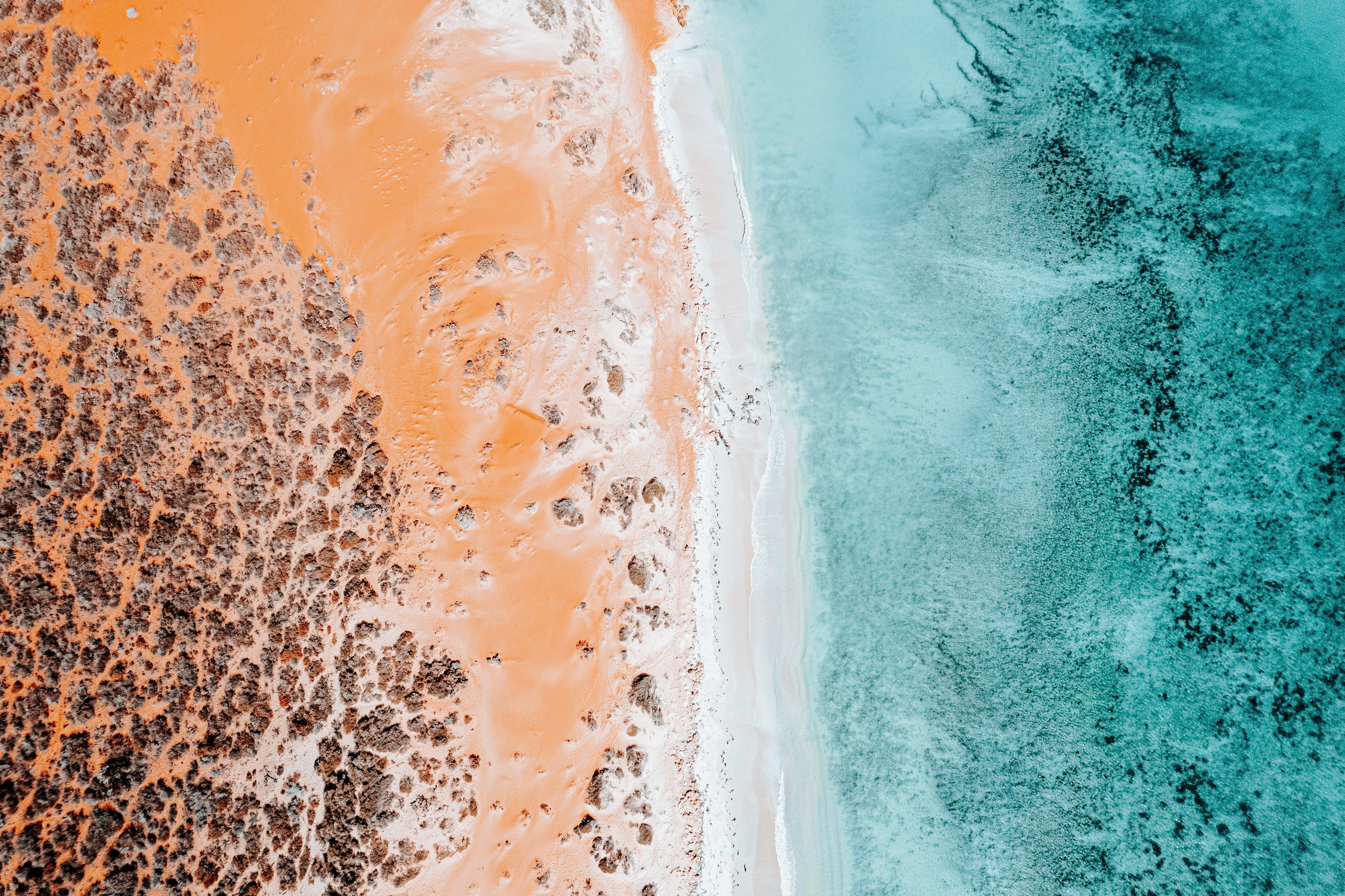 Coastal Print high quality Wall Art - Shark Bay, Western Australia