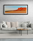 Quinn - Framed Print - Tim Rainer Photography