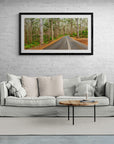 Forest - Framed Print - Tim Rainer Photography