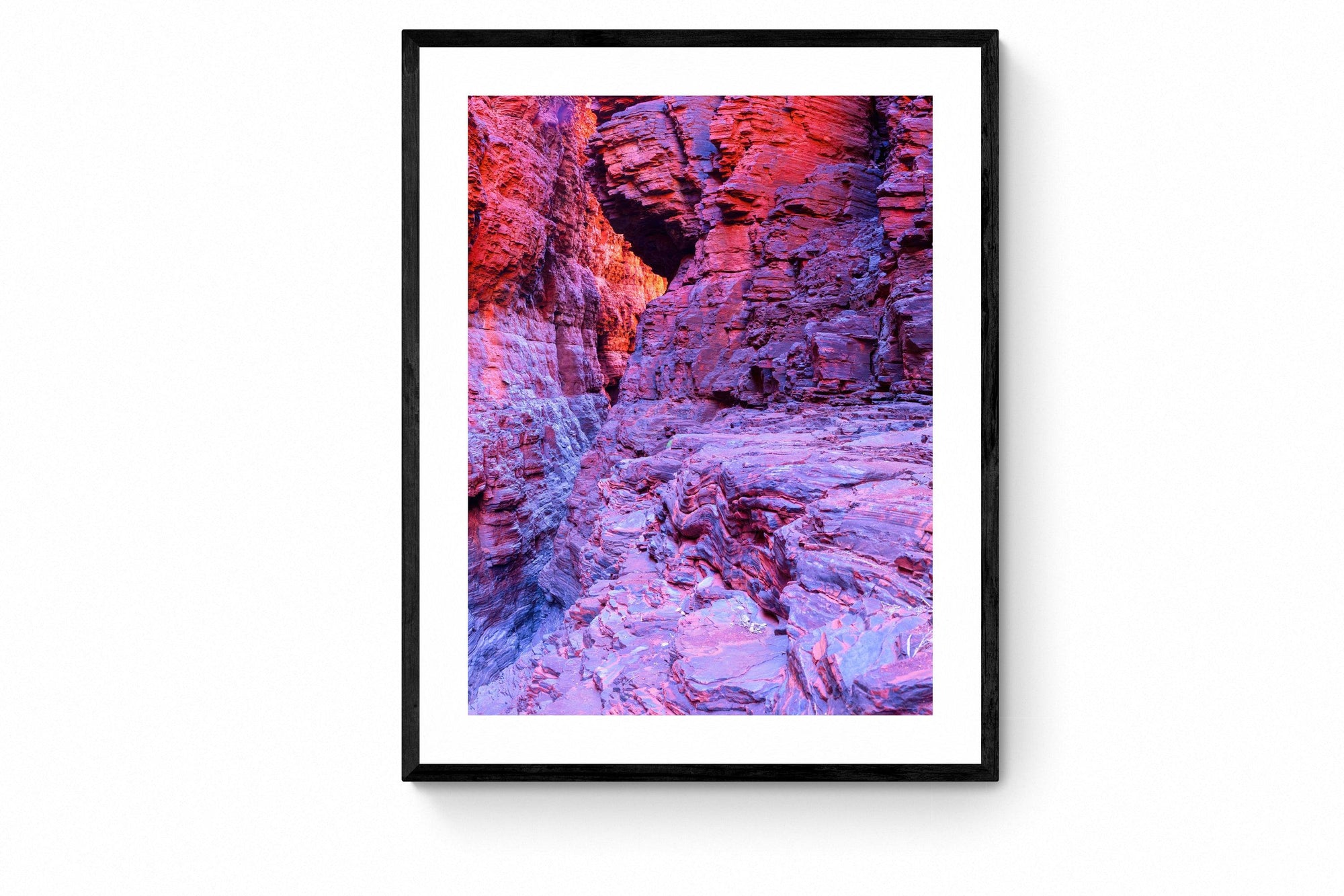 Addison - Framed Print - Tim Rainer Photography