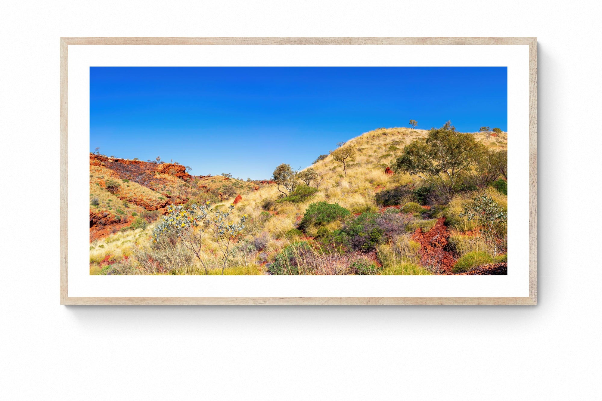 Zahara - Framed Print - Tim Rainer Photography