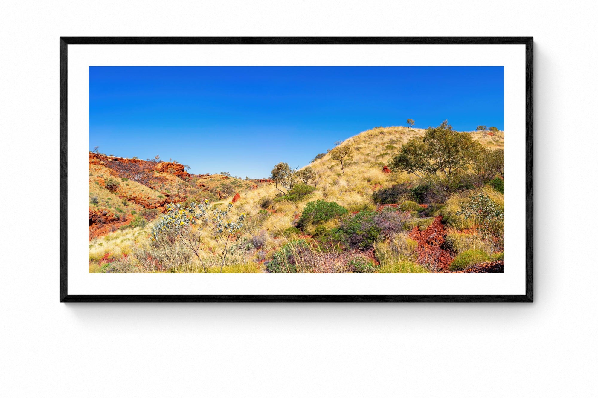 Zahara - Framed Print - Tim Rainer Photography