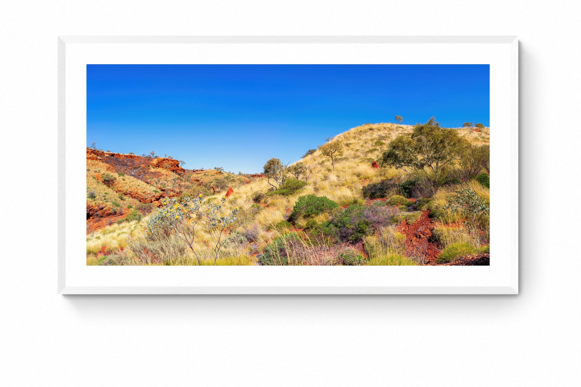 Zahara - Framed Print - Tim Rainer Photography