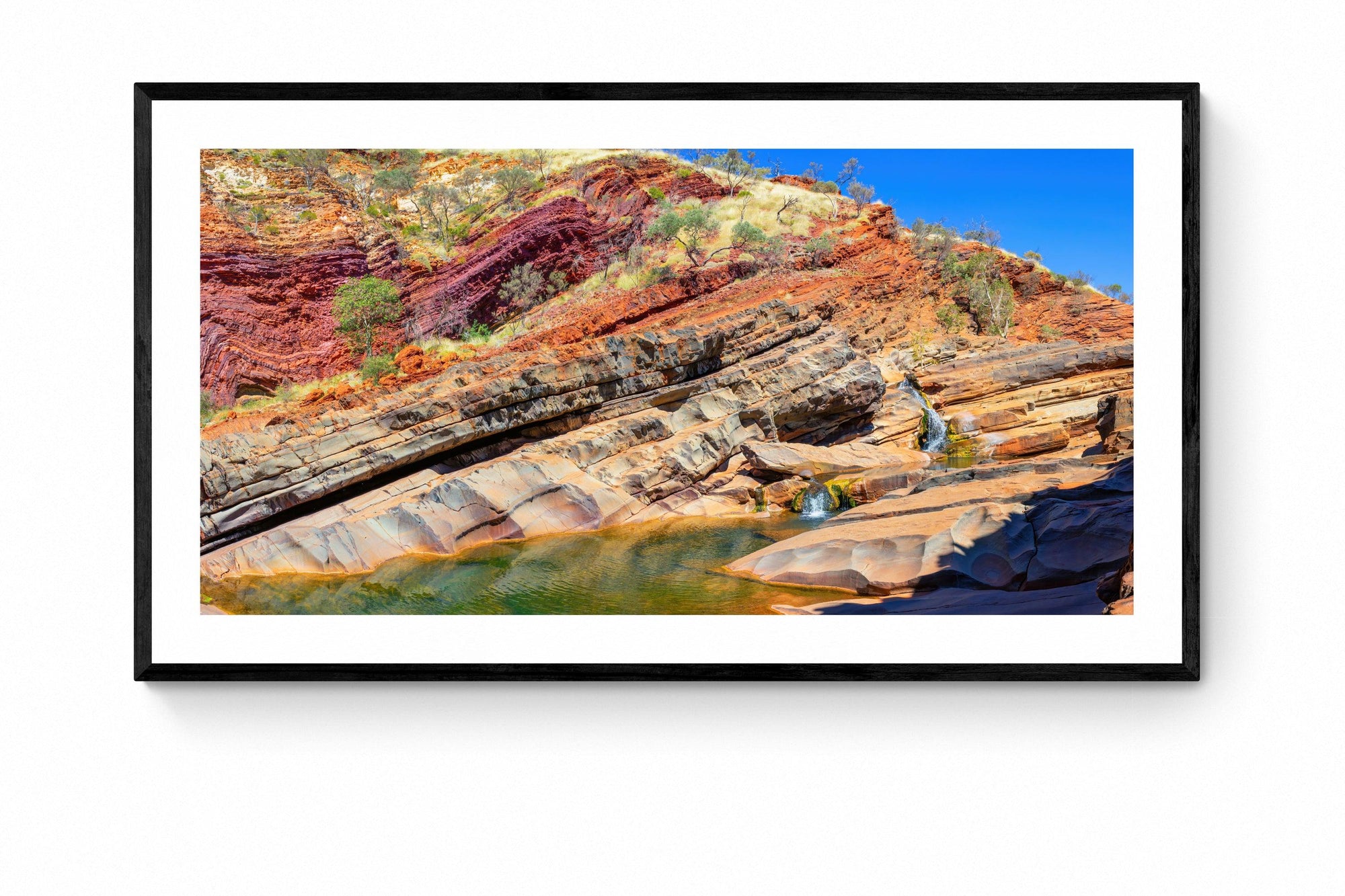 Maxim - Framed Print - Tim Rainer Photography