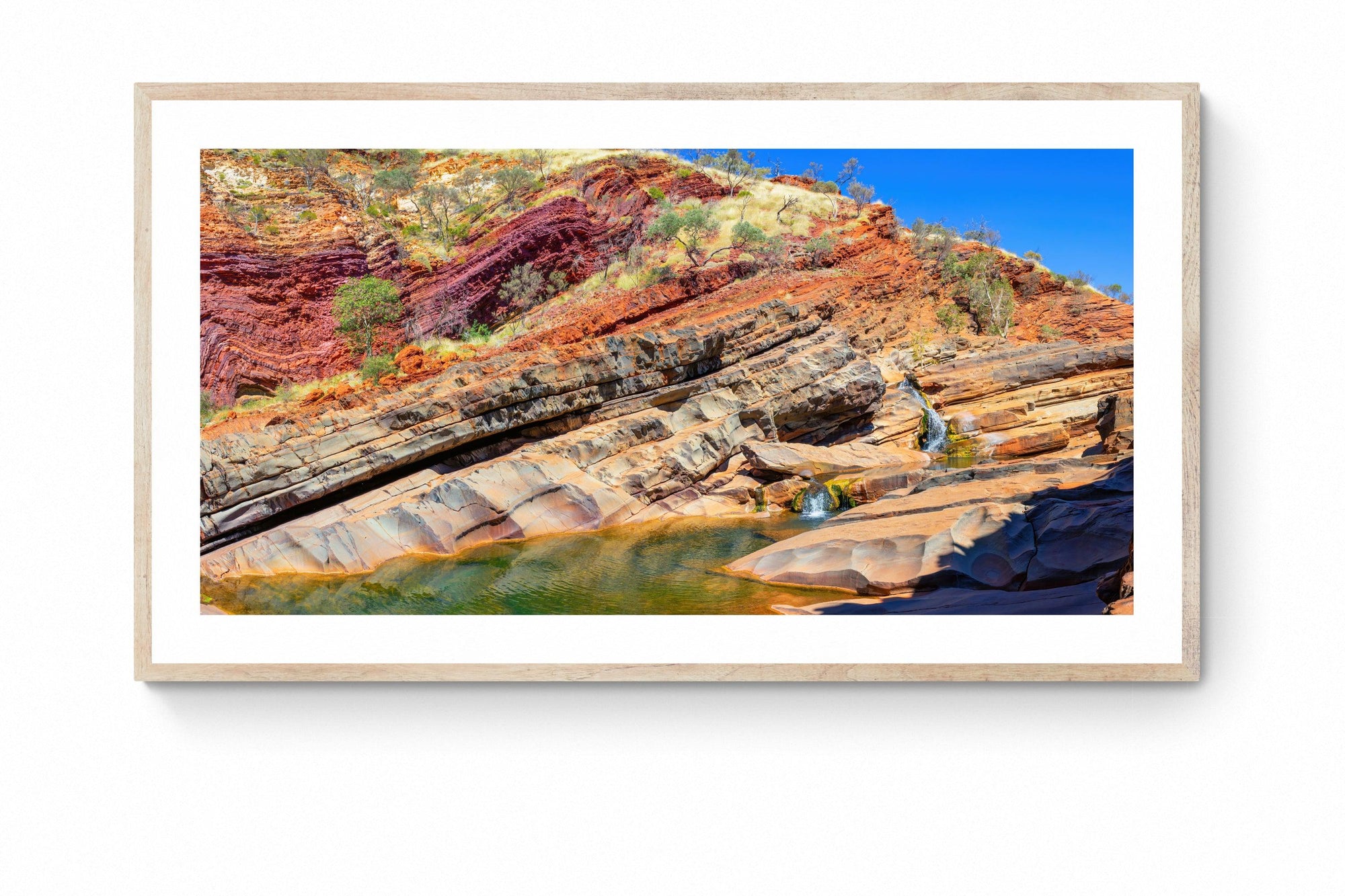 Maxim - Framed Print - Tim Rainer Photography