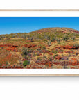 Meadow - Framed Print - Tim Rainer Photography