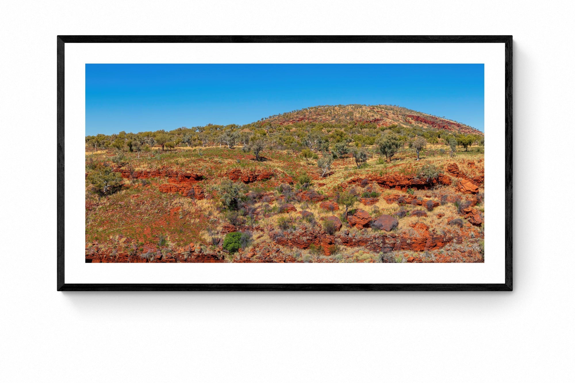 Meadow - Framed Print - Tim Rainer Photography