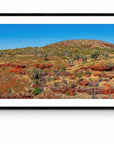 Meadow - Framed Print - Tim Rainer Photography