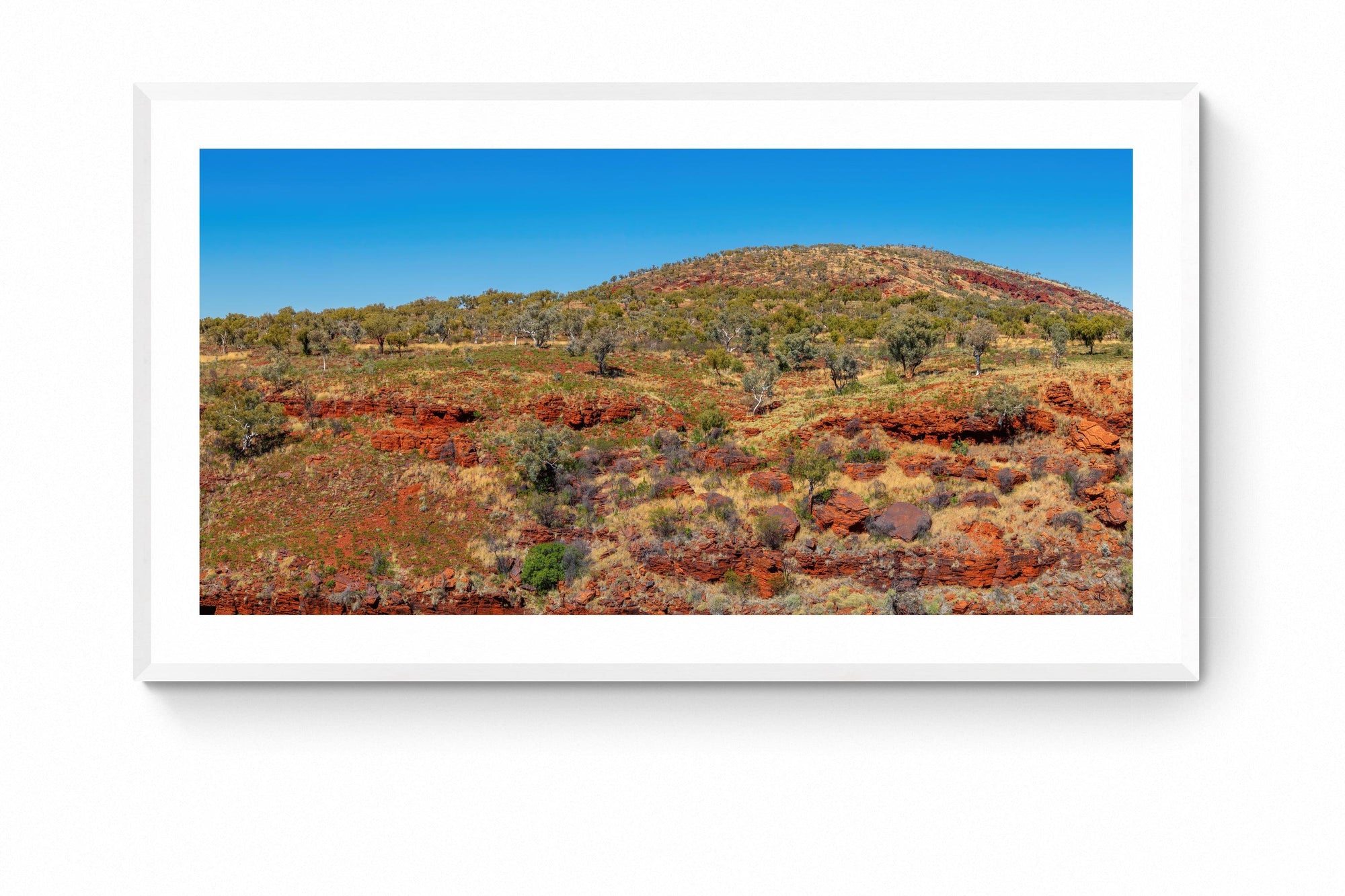 Meadow - Framed Print - Tim Rainer Photography