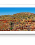 Meadow - Framed Print - Tim Rainer Photography