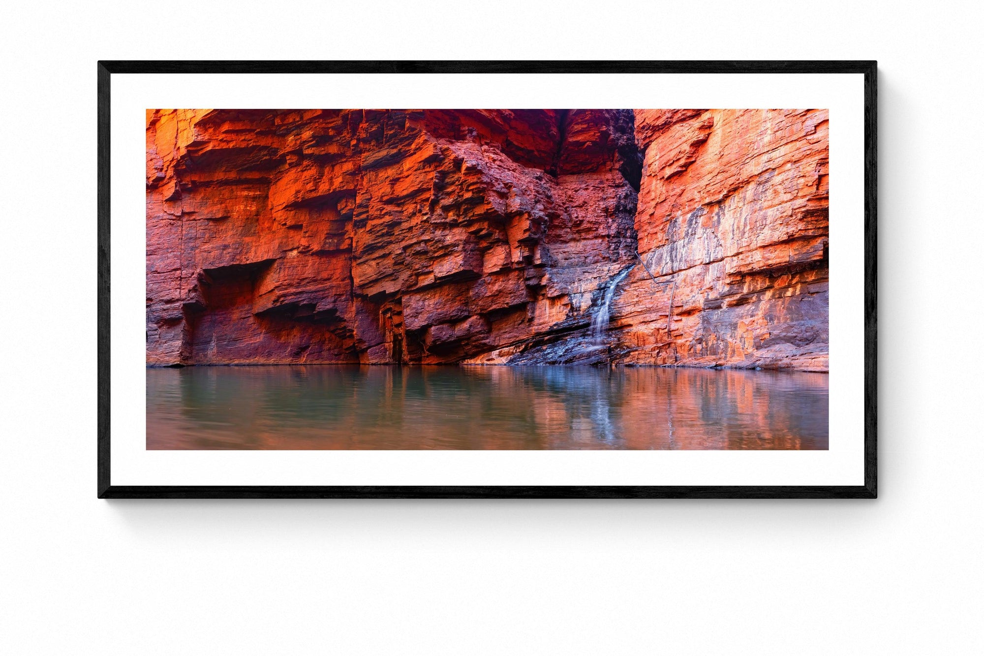 Knox - Framed Print - Tim Rainer Photography