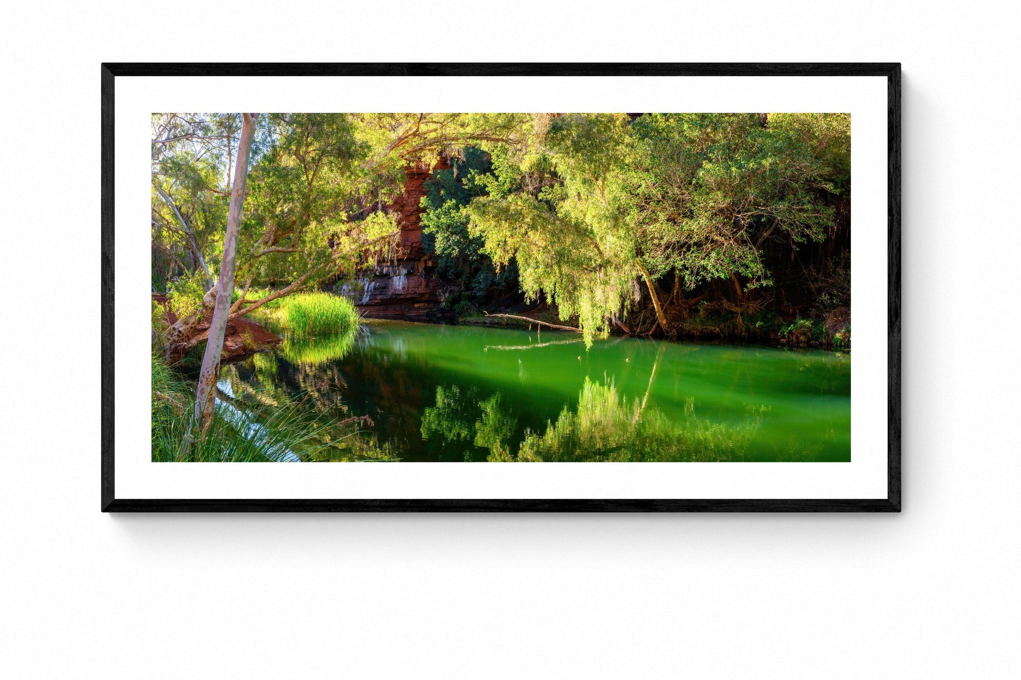 Daniel - Framed Print - Tim Rainer Photography