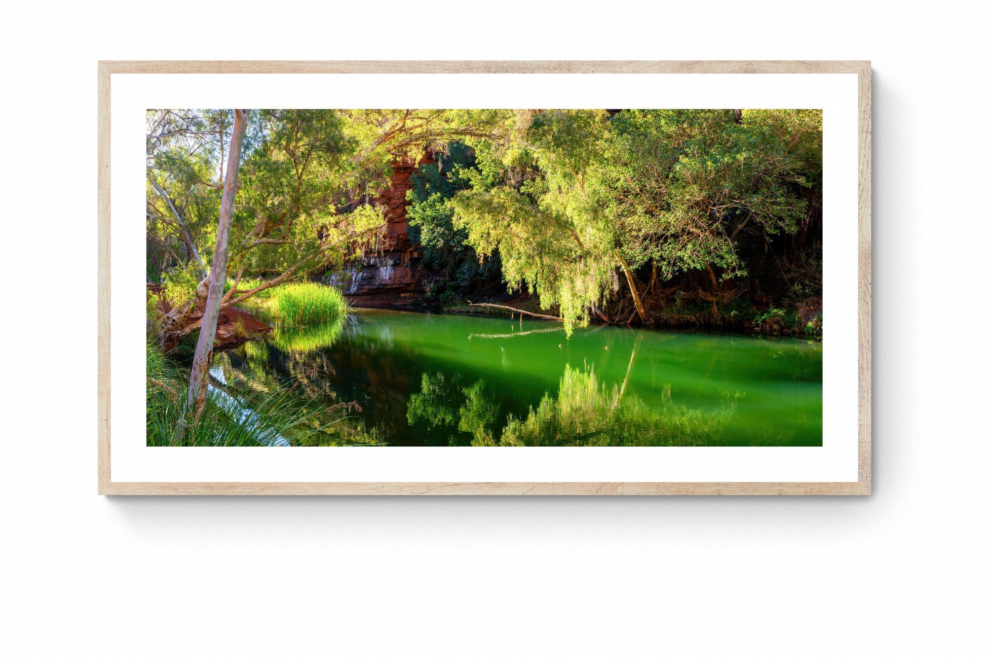 Daniel - Framed Print - Tim Rainer Photography