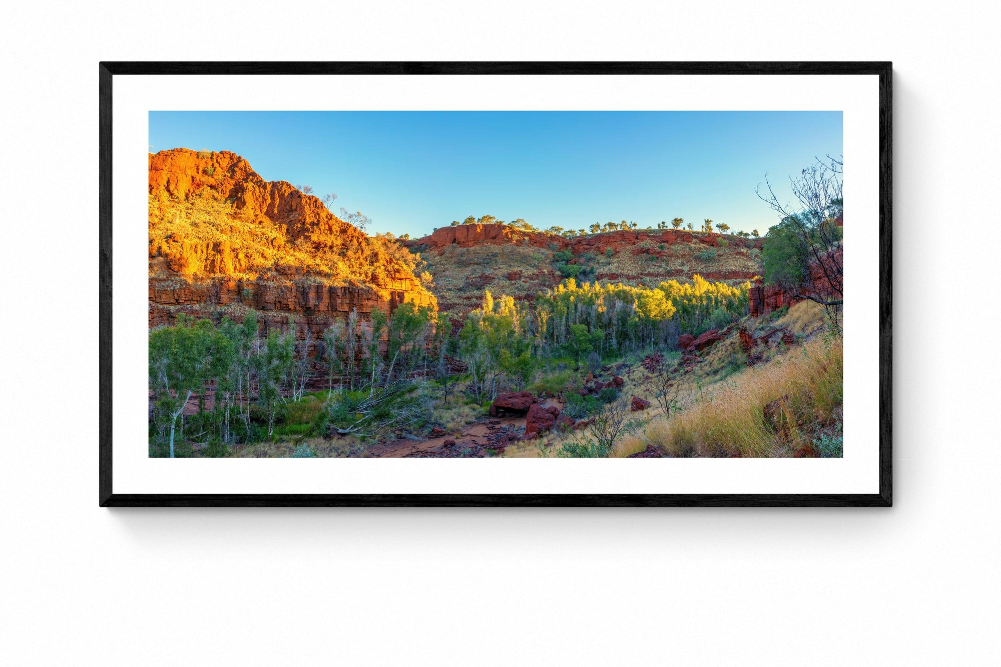 Bree - Framed Print - Tim Rainer Photography