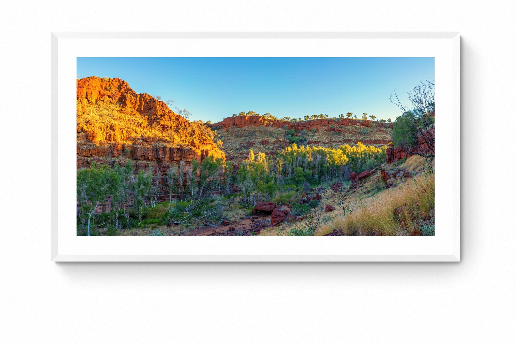 Bree - Framed Print - Tim Rainer Photography