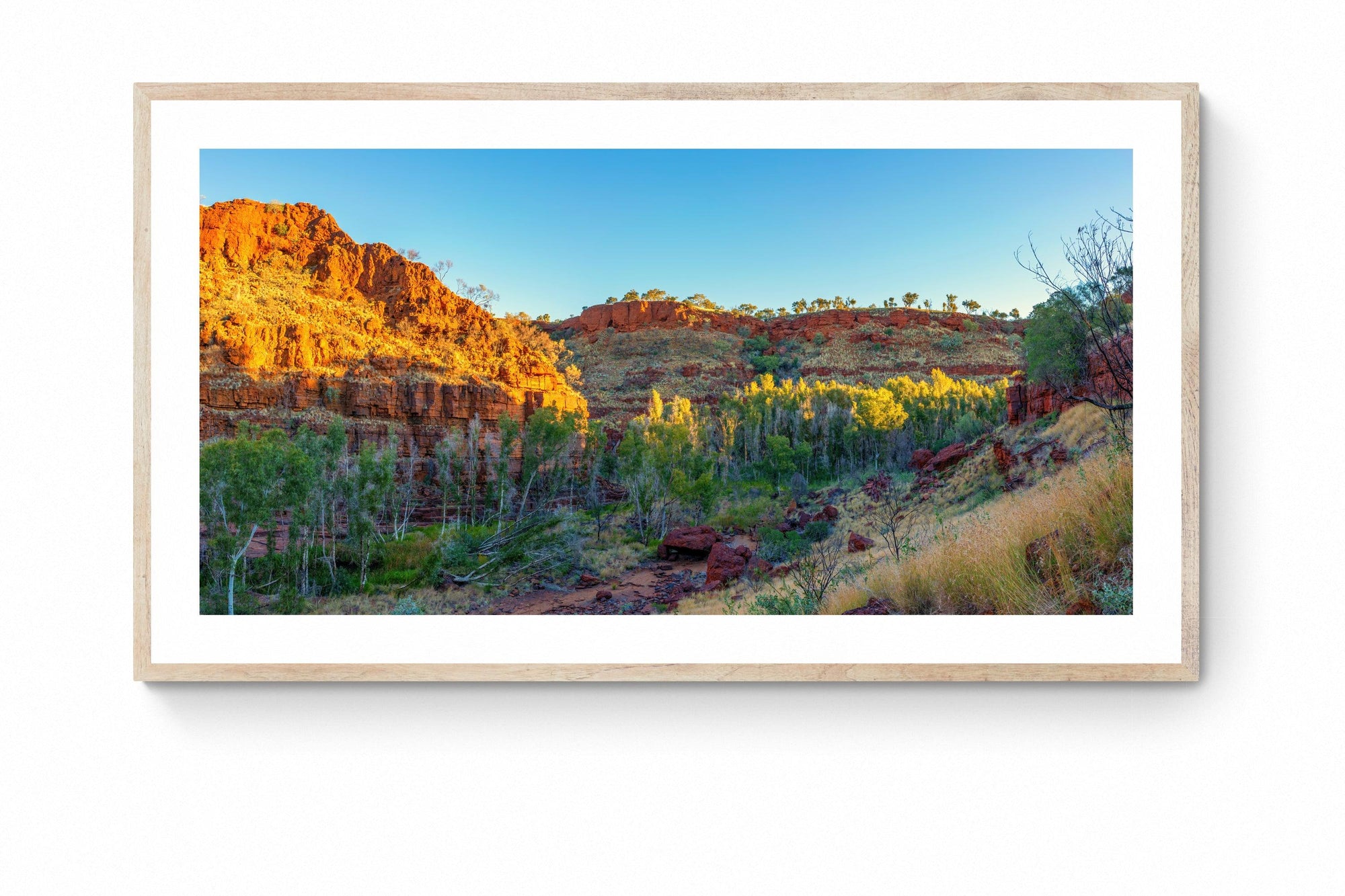 Bree - Framed Print - Tim Rainer Photography