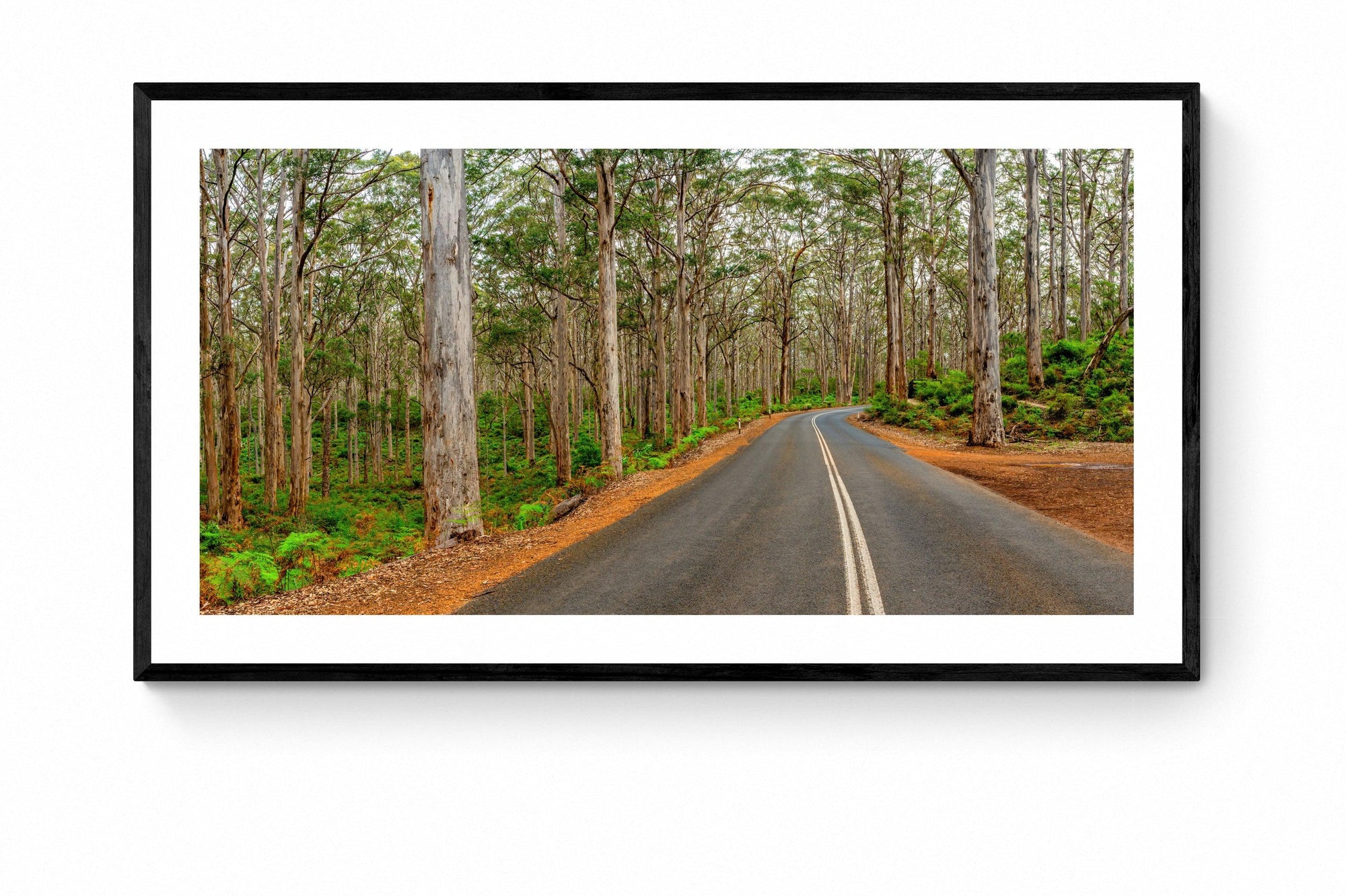 Forest - Framed Print - Tim Rainer Photography