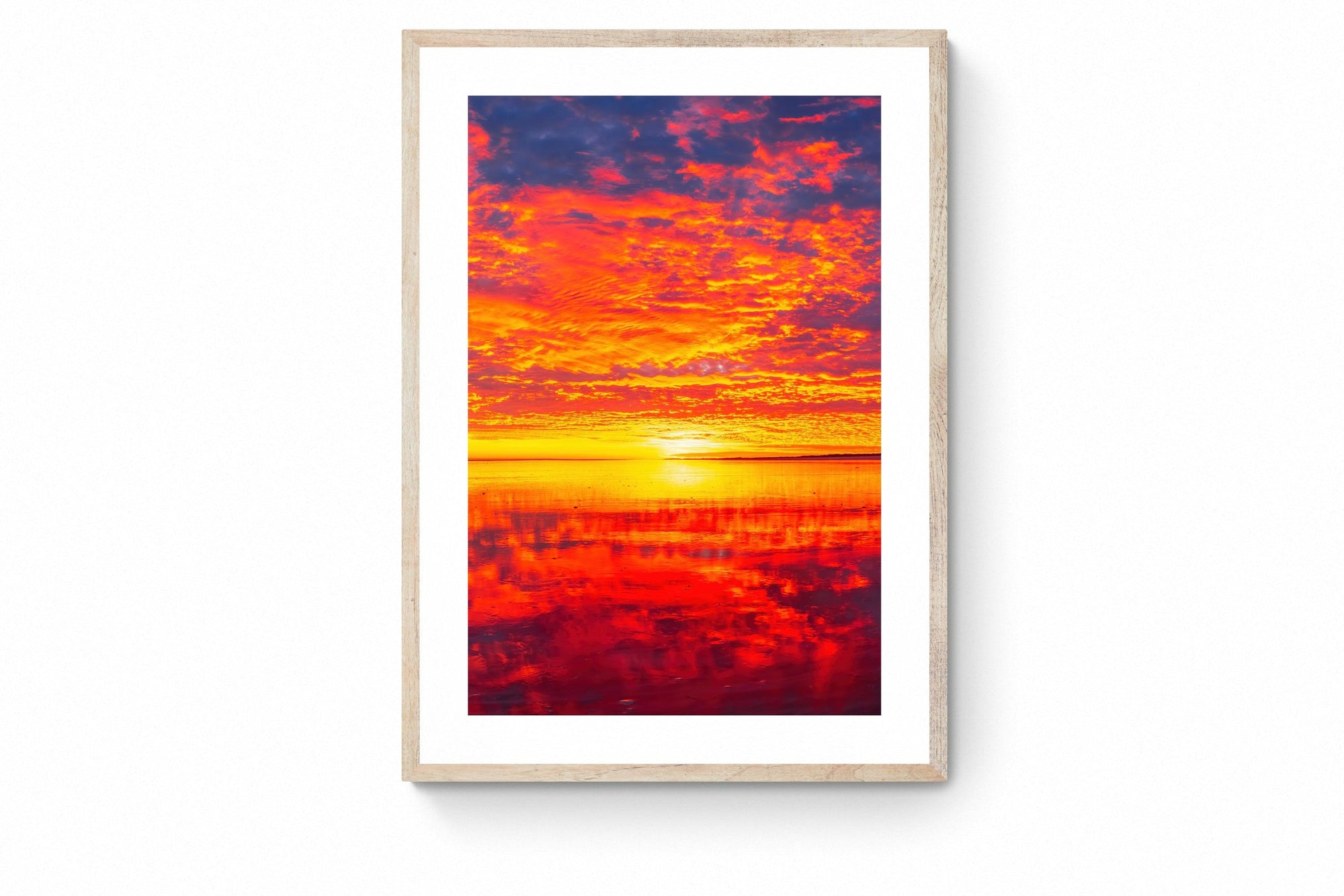 Halley - Framed Print - Tim Rainer Photography