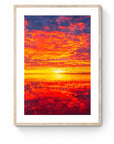 Halley - Framed Print - Tim Rainer Photography