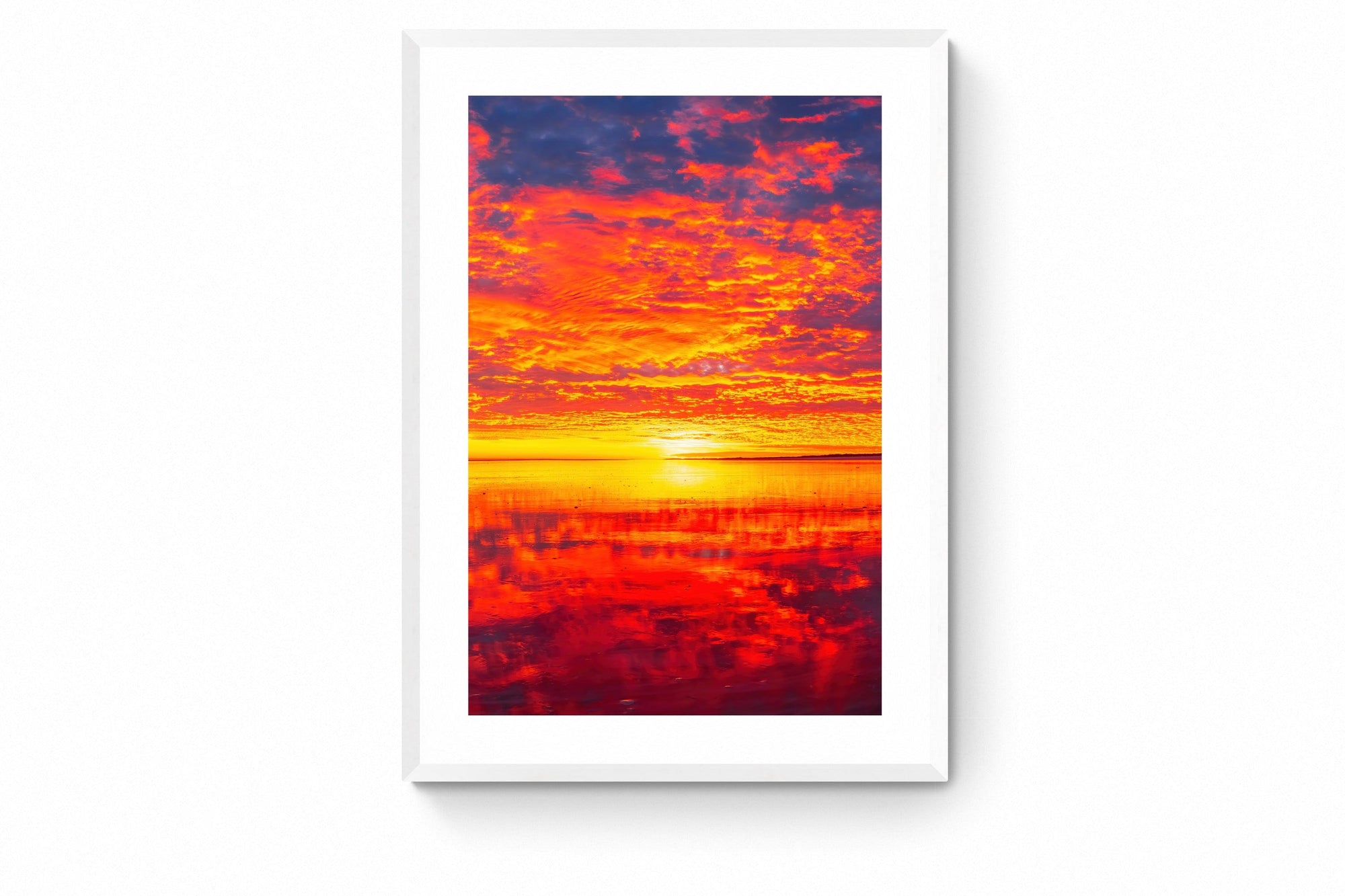 Halley - Framed Print - Tim Rainer Photography