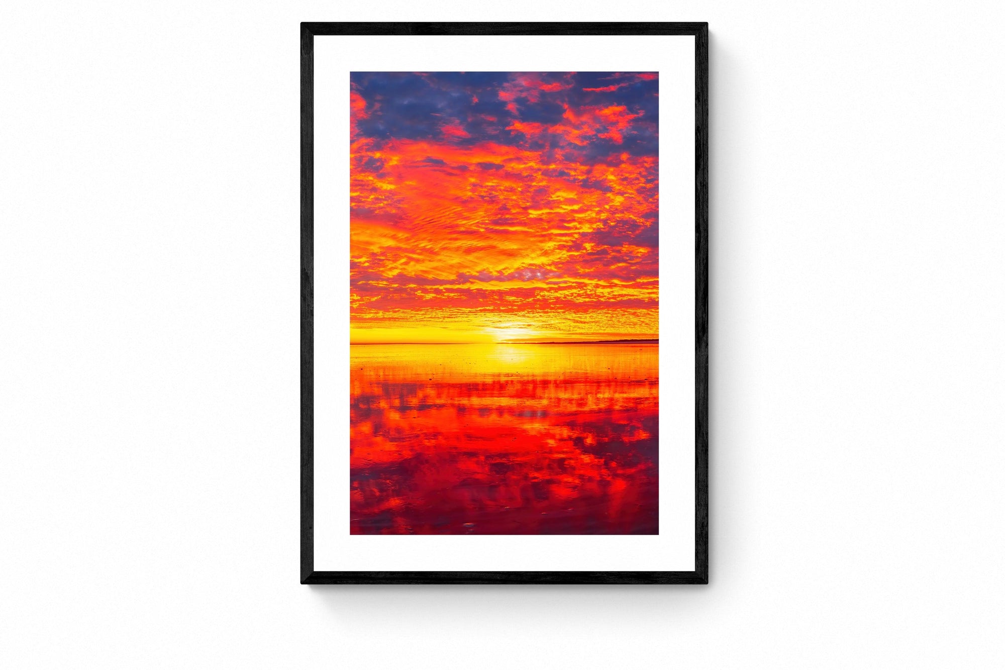 Halley - Framed Print - Tim Rainer Photography