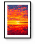 Halley - Framed Print - Tim Rainer Photography