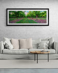 Apple - Framed Print - Tim Rainer Photography