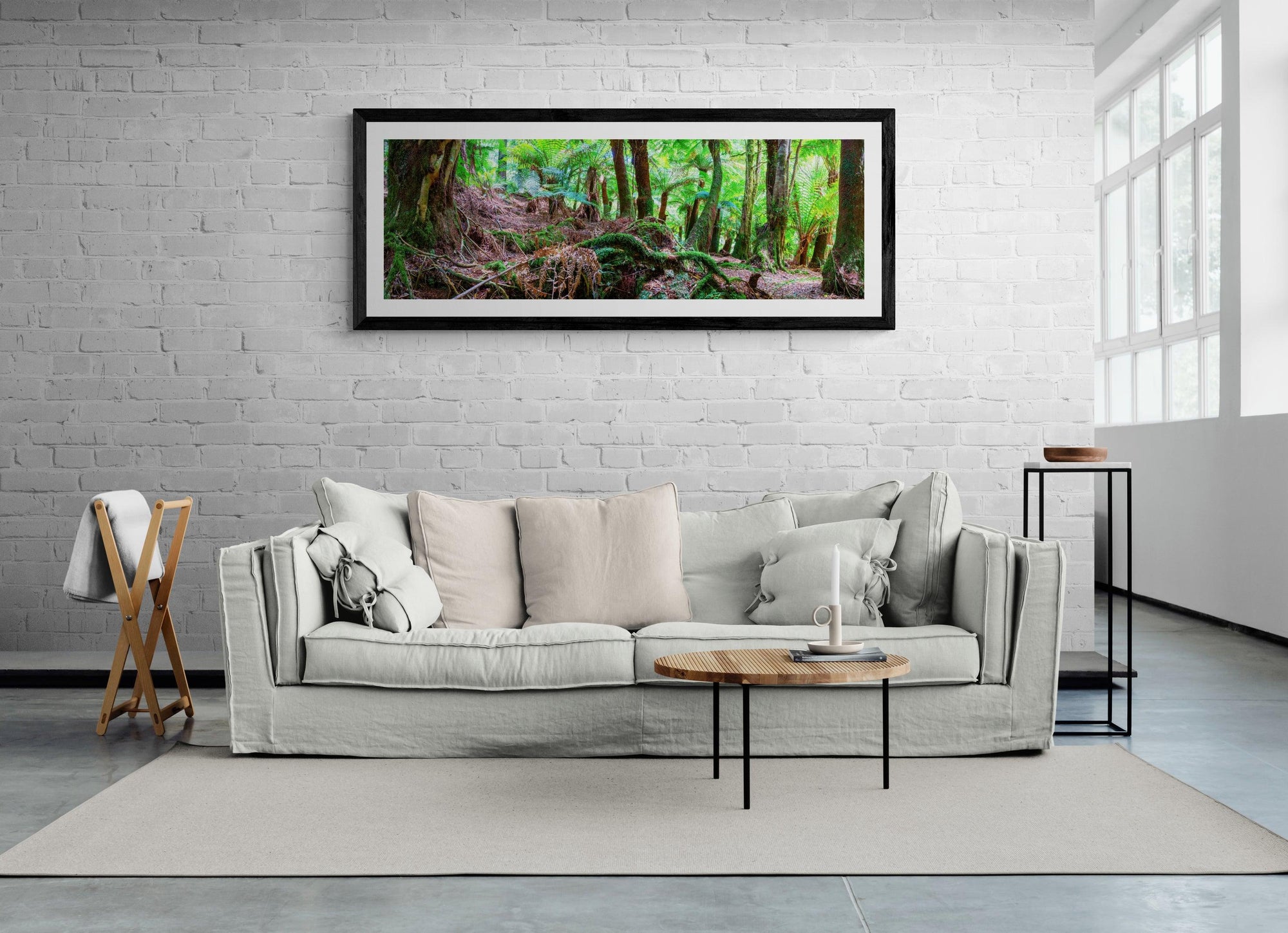 Noah - Framed Print - Tim Rainer Photography